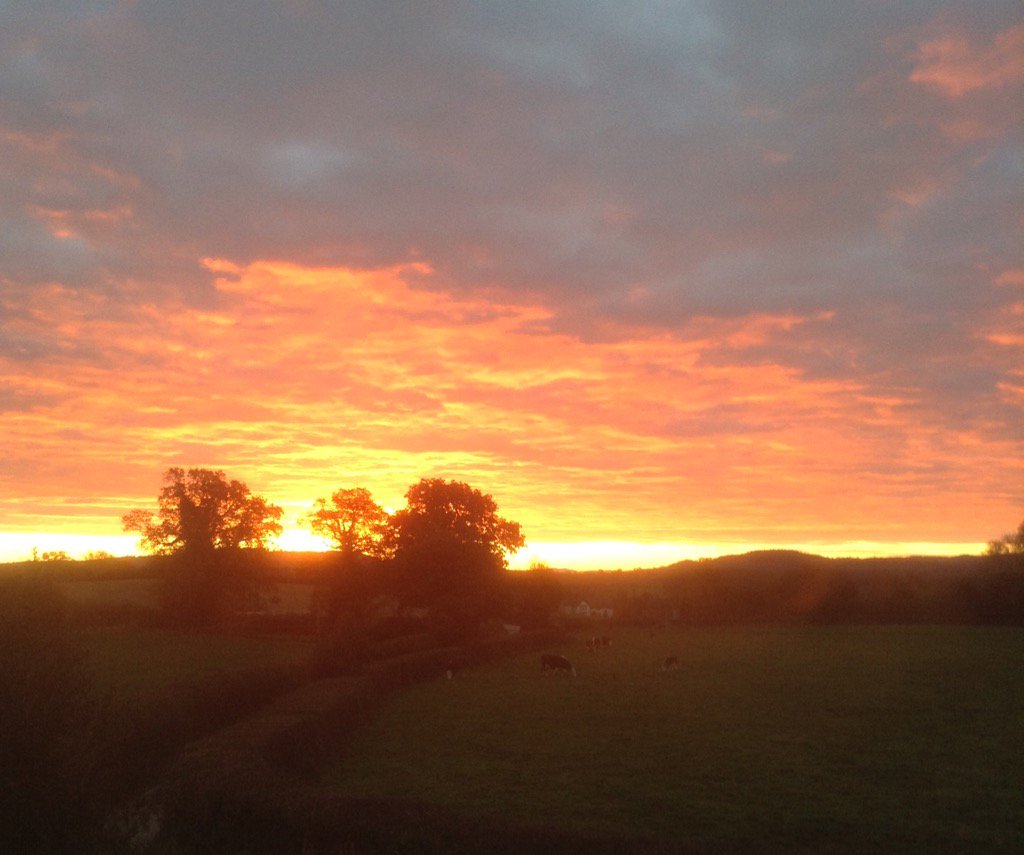 anne_obrien's tweet photo. Good morning from the #WelshMarches. I'm leaving this golden splendour for #ElthamWinFest. But I will be back. https://t.co/jwiCW4aENy