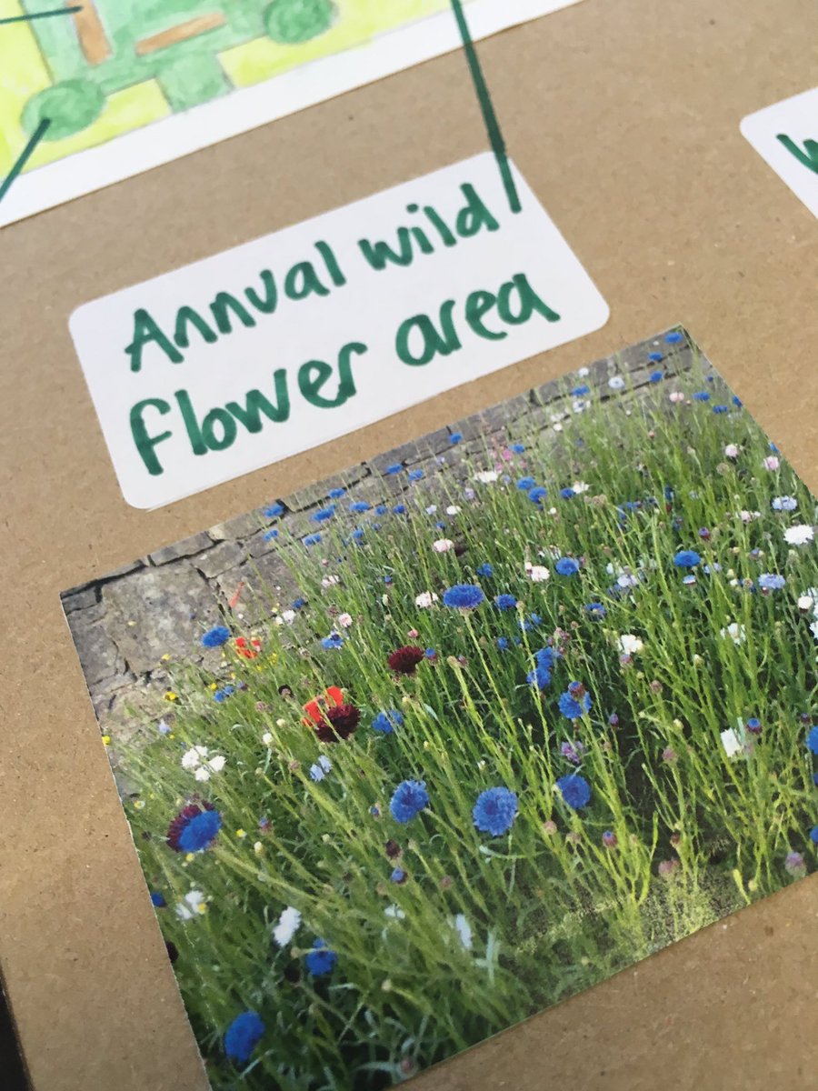 NCEAChaplain's tweet photo. We have until 13 Nov #Vote #Amble @Tesco_North #BagofHelp for No 3 #JamesKnott garden @NwcastleDiocese @RNorthumberland @alnwickgazette https://t.co/ejm2OoqqEz
