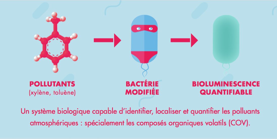 PatrickFavrel's tweet photo. #Quantifly : Avec son #drone anti-pollution @iGEM_IONIS remporte une médaille d’or au #MIT https://t.co/U3hx9llhER https://t.co/VA8fJamkwe