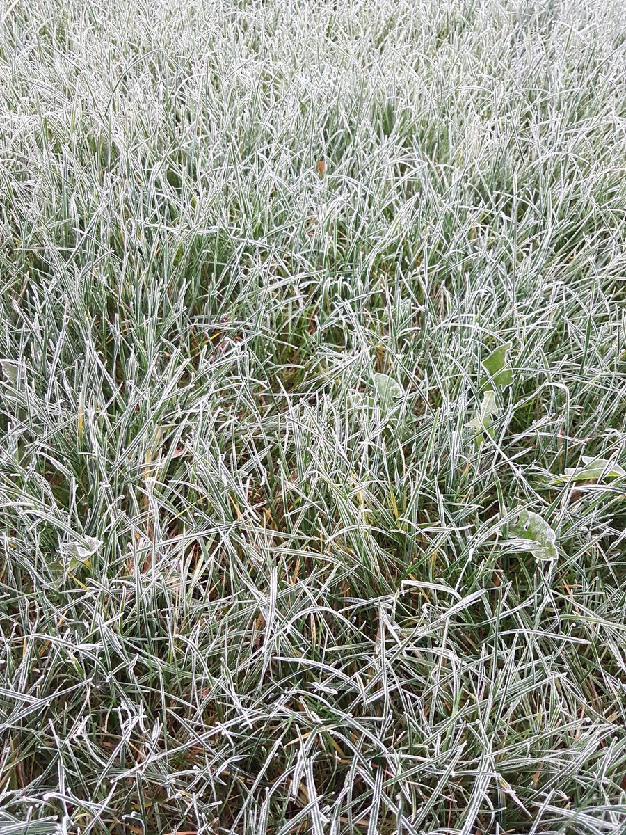 Looks like good old #jackfrost paid #altrincham a visit last night!