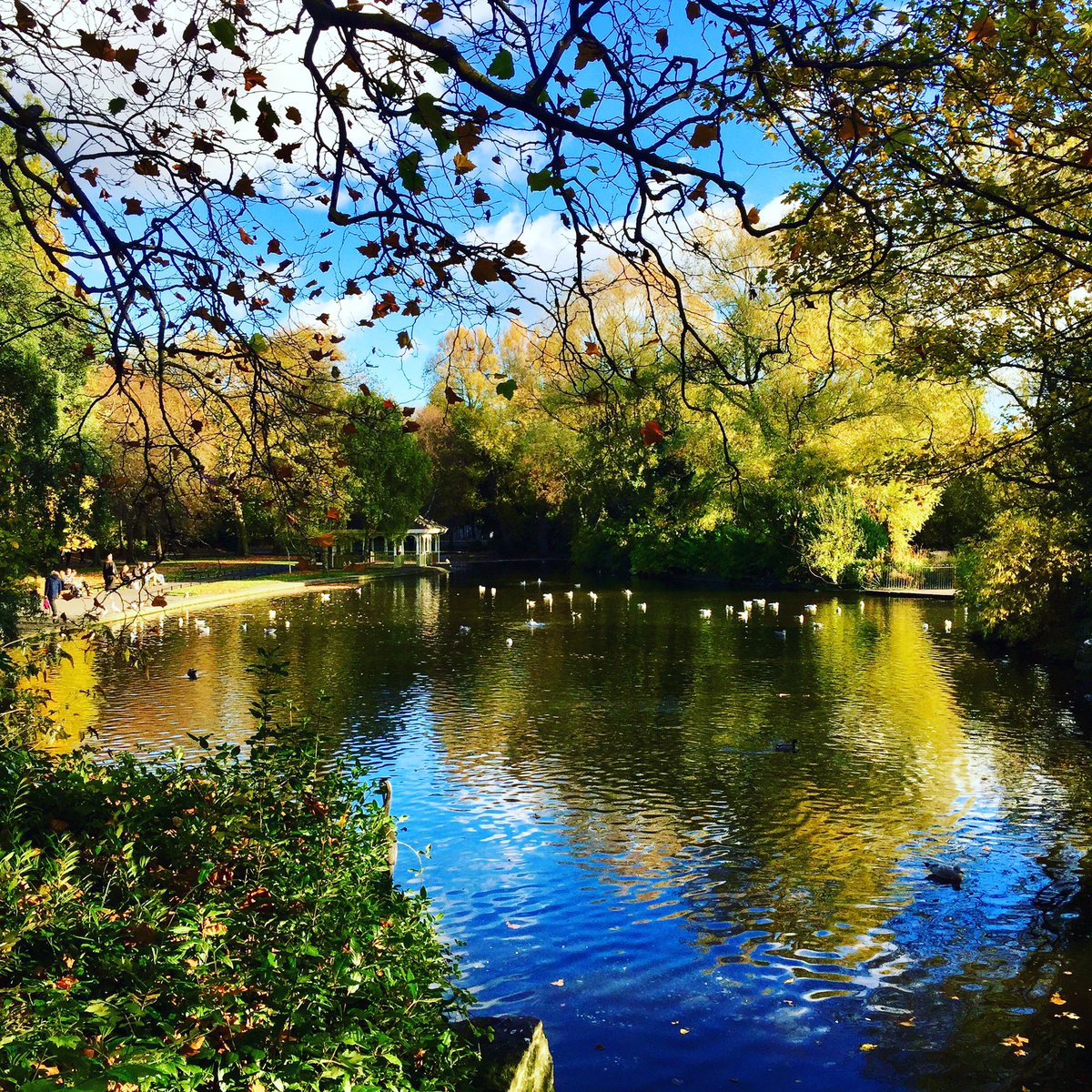 ElaineAgapiou's tweet photo. A #gorgeous day in #Dublin to take a lazy stroll through #ststephensgreen ๐ฎ๐ช๐โ๏ธ๐๐๐ @DiscoverIreland #Ireland #tobesuretobesuretobesure ๐๐๐ปโค๏ธ https://t.co/7EIPXxtJh5