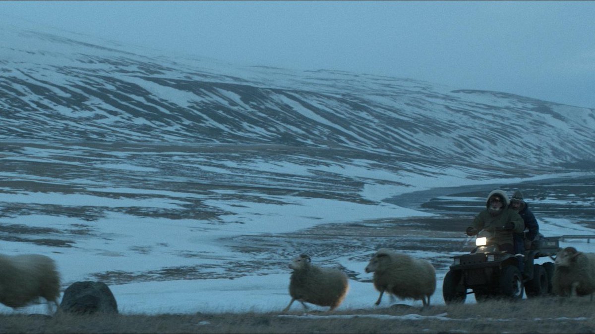 FoxloweFilms's tweet photo. Escape the US election coverage - come &amp; see @Rams_Film a Nordic tale that makes you re-appraise what's most vital in life. 7.45pm TONIGHT https://t.co/lNiOWLs58i