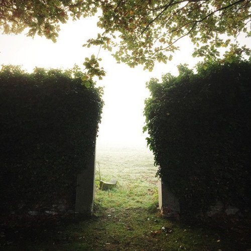 Exuberant_Bloom's tweet image. 