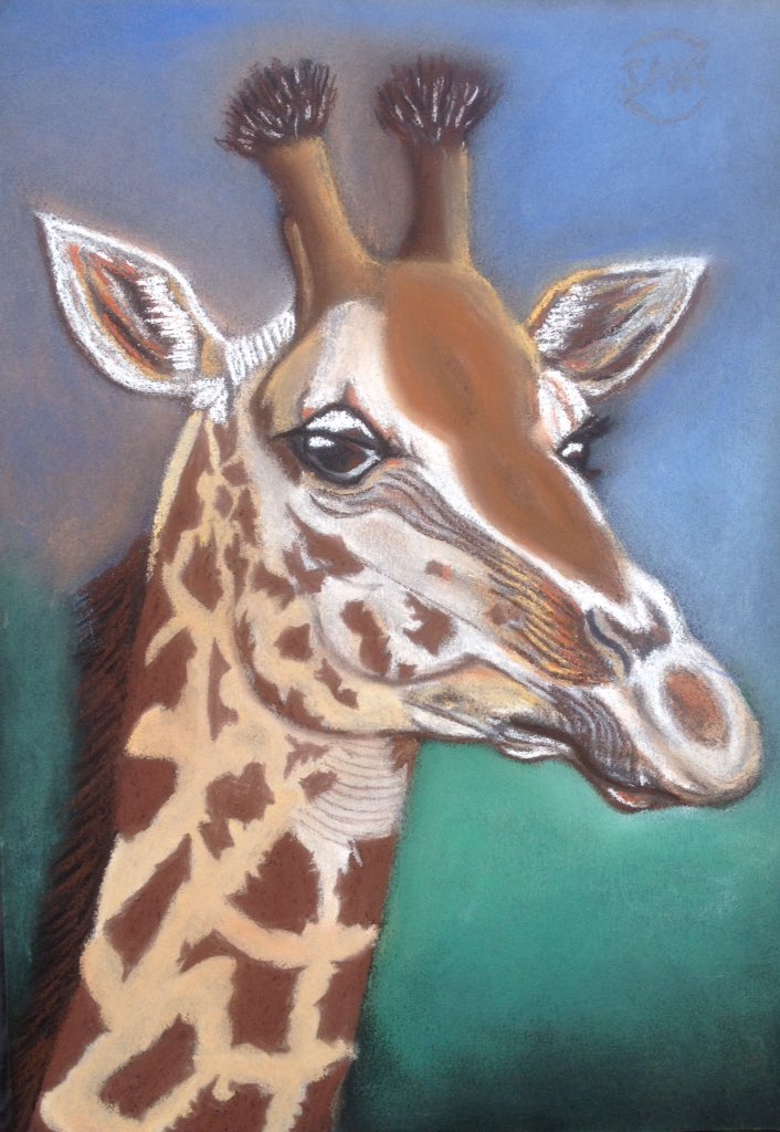 Inzanomics's tweet photo. Howdy Inzamaniacs!! 

First time trying a giraffe in color.... Hope you like it

#art #BasicInzanomics https://t.co/7HjATmyLBa