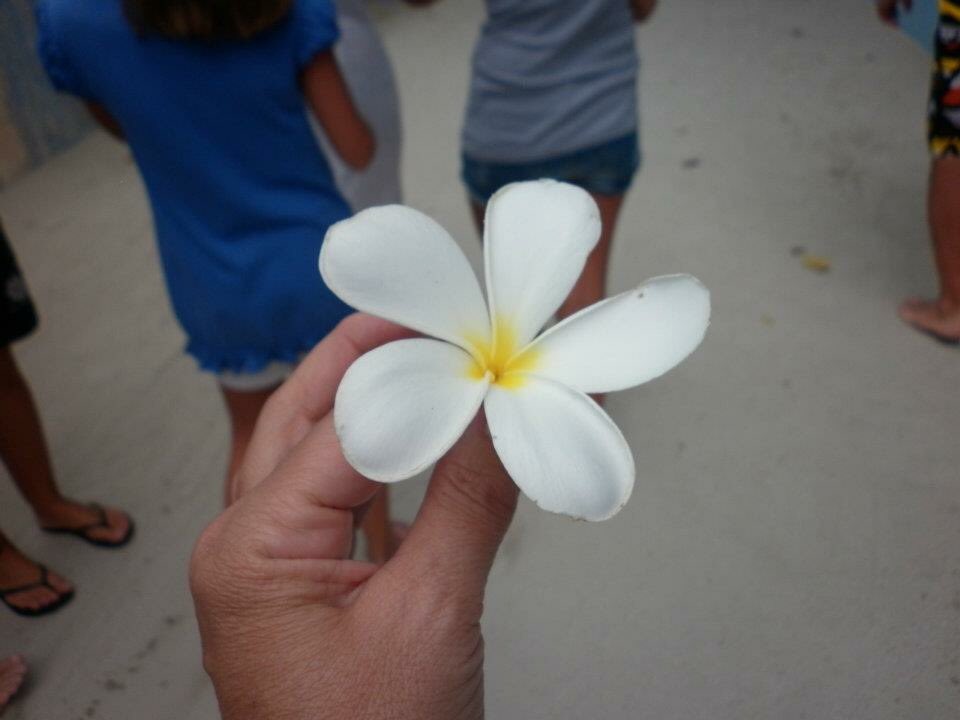 84Gipsy's tweet image. Oggi vi porto a #Rannalhi #atollo di #Ari #Maldive