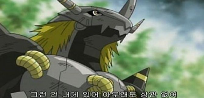 시험?