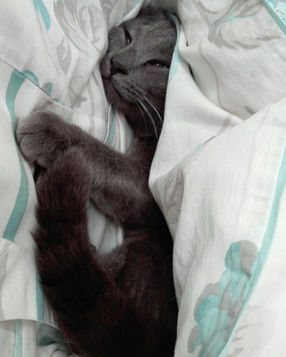 Quel veinard celui la !!! J'aurais bien aimé rester sous la couette moi aussi !!! 😩😩😩😩😩😩