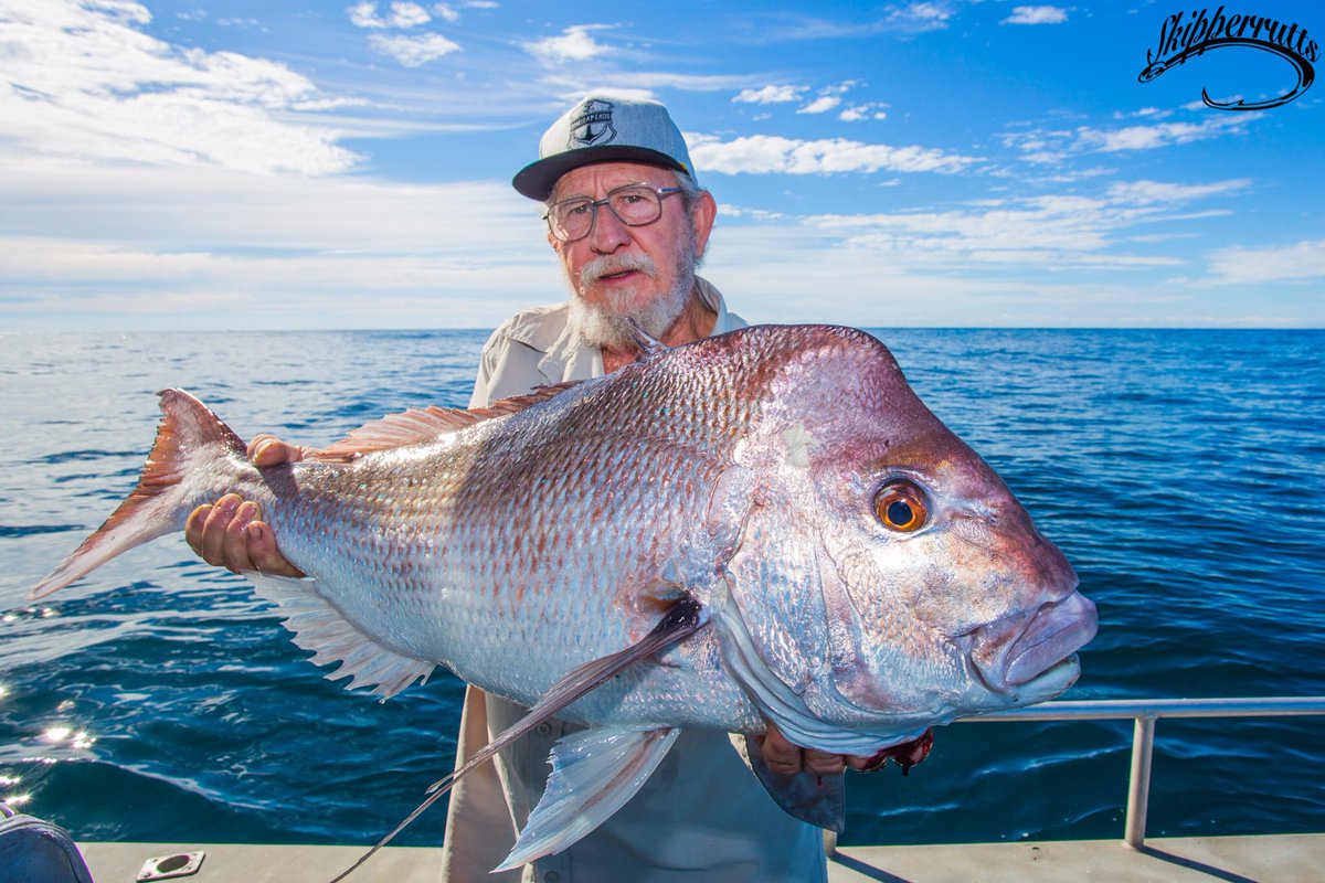 Skipperrutts's tweet photo. Pops with a donkey #snapper. #sportfishing #fishinhphotography #catchandrelease #themadhueys #respectyourcaptain https://t.co/mbRYmPcCy0