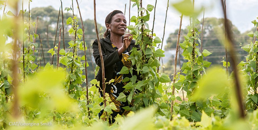 UN_Women's tweet photo. With start of #COP22,learn how #climatechange uniquely impacts women &amp; girls around the world: https://t.co/eD8liFugt2 #women4climatejustice https://t.co/UwiCV34xe0