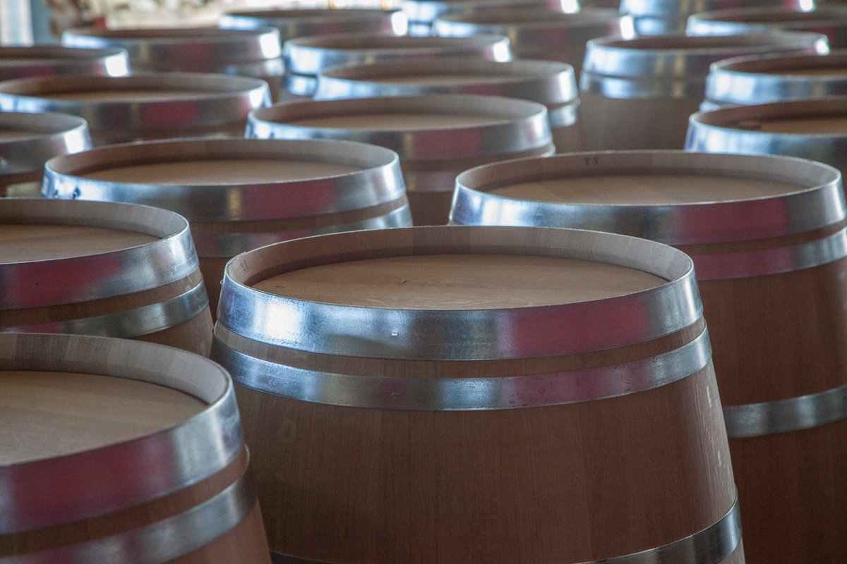 Preparing 2016 vintage... #DucruBeaucaillou