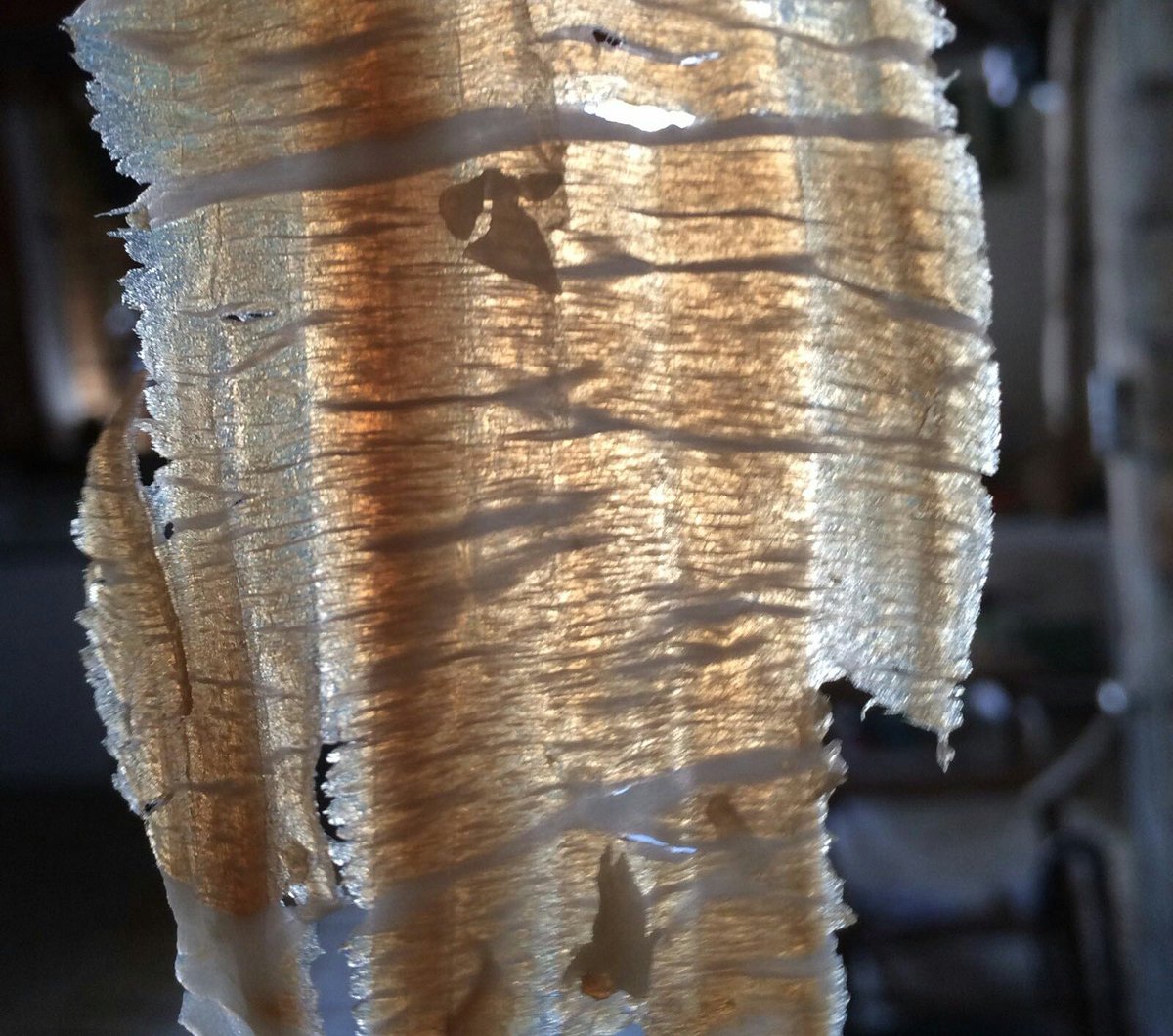 Casa Museo Del Jamón tweet media