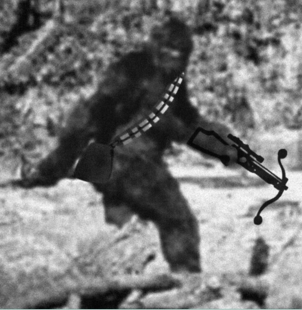 BizarroRus's tweet image. Rogue One Sasquatch? Doofus is unfair, he can fly a ship.