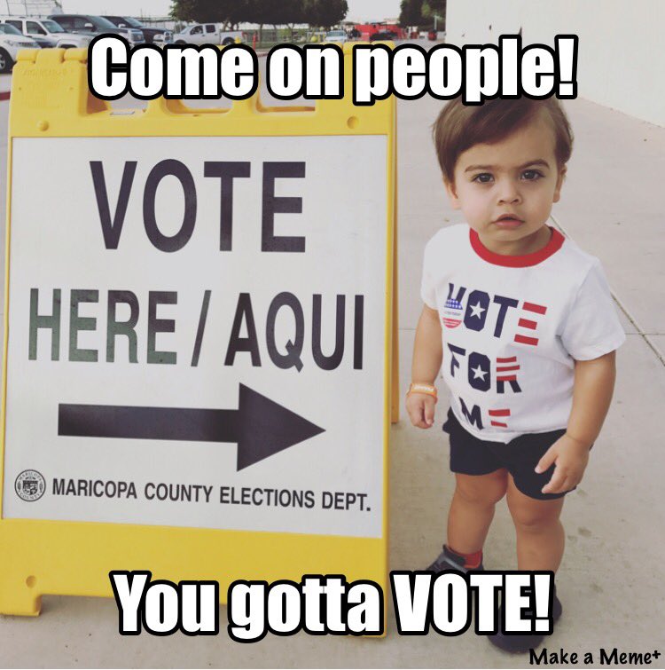 BabyStevie3's tweet photo. Baby Stevie wants you to VOTE! It's so easy even a 1 year old can do it. #Election2016 #babyvoter #vote https://t.co/MU1Bngc1qd