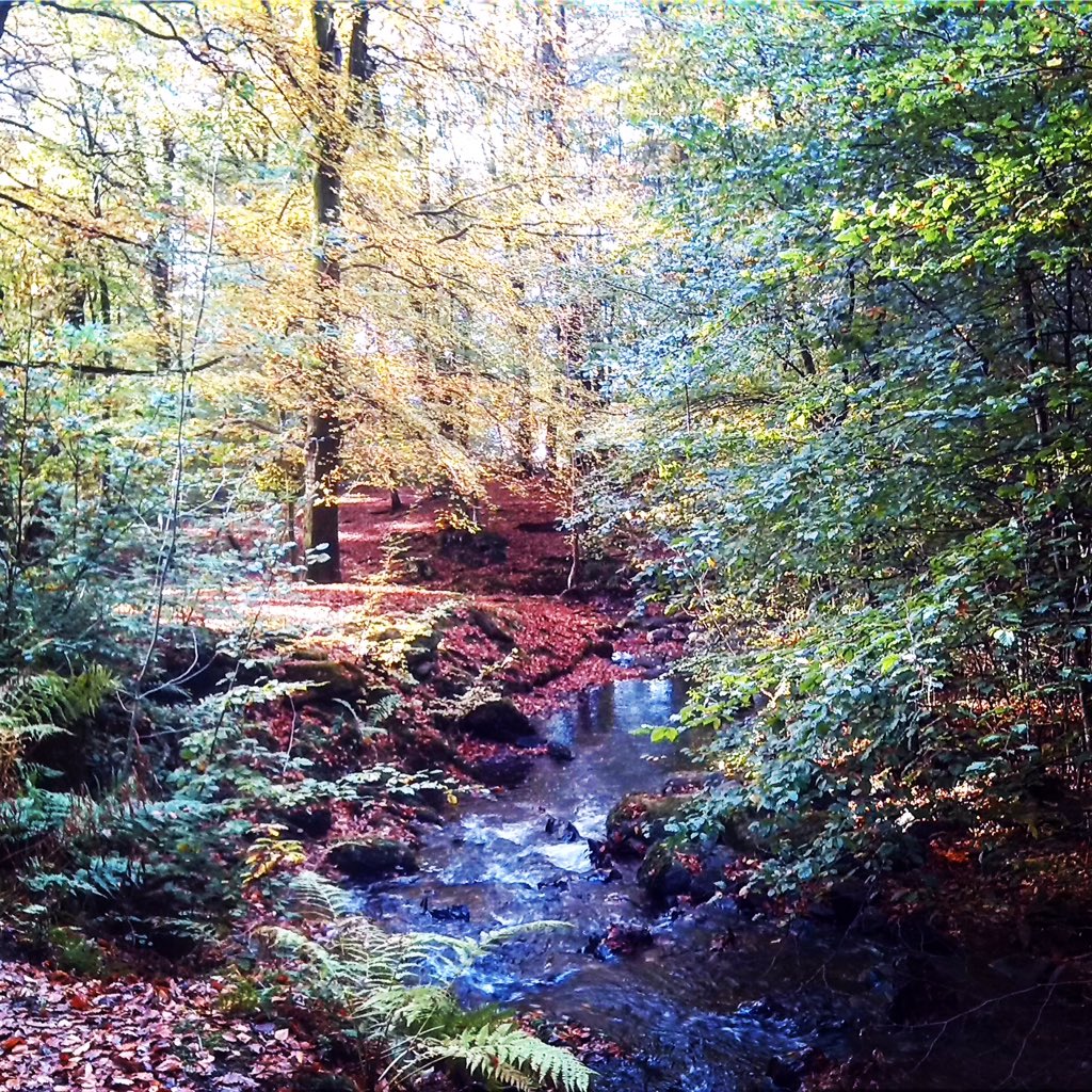 Burn How Garden House Hotel tweet media