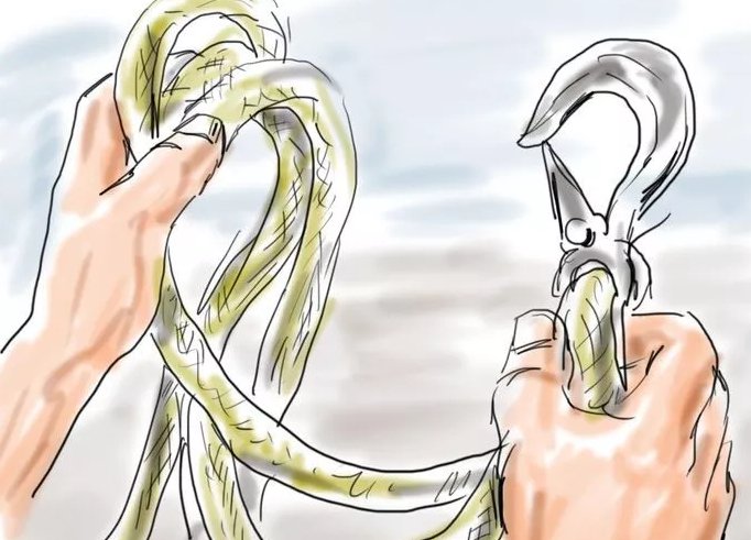 JandJ_Towing's tweet image. Tip: A nylon or polyester strap with manufactured end loops is recommended for safely towing your vehicle. #TowingTips #TowingServices