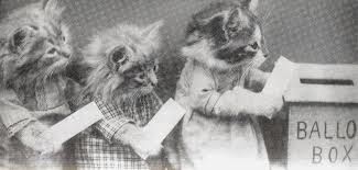 LizRemizowski's tweet photo. These pussies know. #Steve2016 @20committee https://t.co/GEWh0nU1fQ