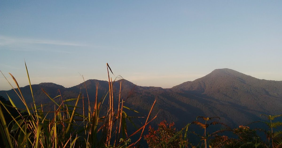 Pecinta Alam Cerita Kami Di Gunung Canggah Yang Terkenal Jalur suliatnya dlvr.it/MchRwF #COPALA_INDONESIA