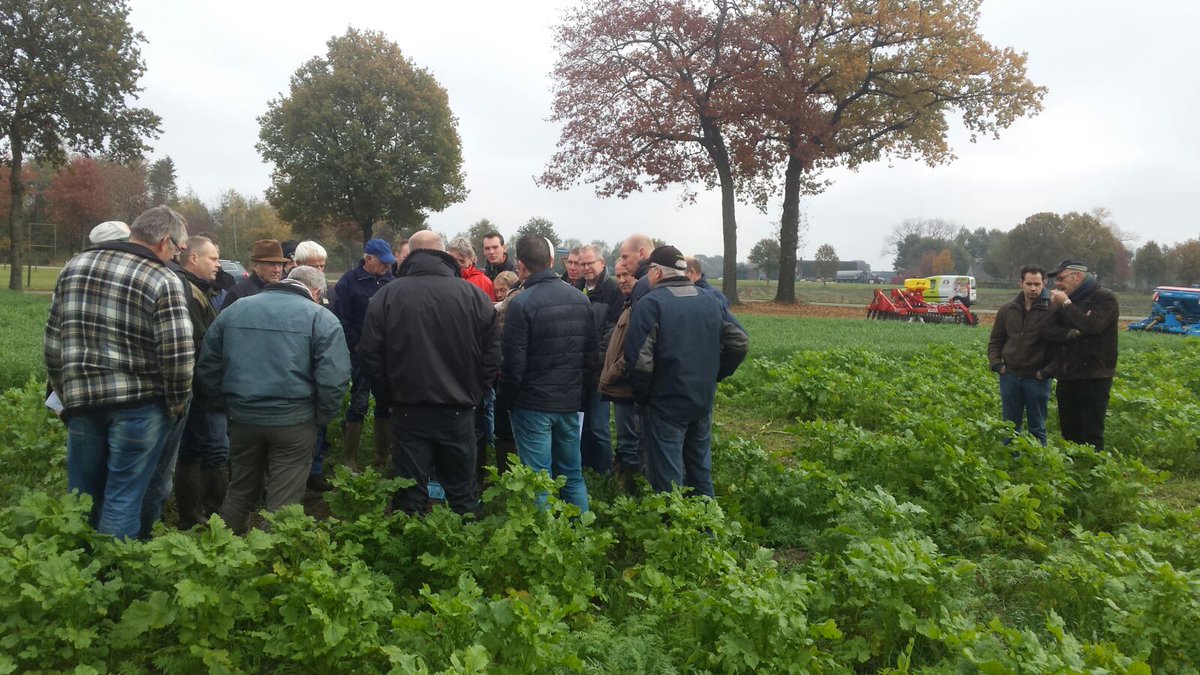 Delphy Akkerbouw ZO (@delphyakzo) on Twitter photo Brancheorganisatie akkerbouw maakt mogelijk dat akkerbouwers zaaitechniek en soorten groenbemesters leren kennen in het veld. Uitleg Delphy Brancheorganisatie akkerbouw maakt mogelijk dat akkerbouwers zaaitechniek en soorten groenbemesters leren kennen in het veld. Uitleg Delphy