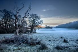 Keypadoffices's tweet image. Phone 01276 472058 Keypad Offices @Keypadoffices in Bagshot before the next frost.Secure your mailbox or view your next office space.