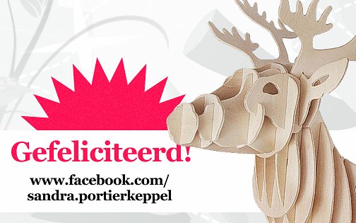 ShopdivaNL's tweet image. Gefeliciteerd met het #winnen van het houten hertenkop bouwpakket - Meer houten #bouwpakketten? Kijk dan op 100phout.nl