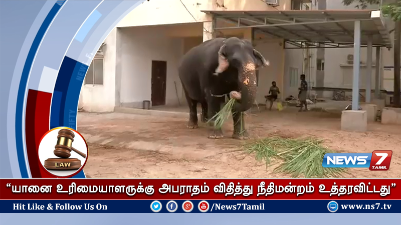 news7tamil's tweet photo. யானை உரிமையாளருக்கு 7,700 ரூபாய் அபராதம்..!
விவரம்: https://t.co/uAVmstZxOV | #ElephantCase https://t.co/LXmaUlk5PX