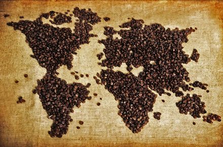 MarcaInteligent's tweet photo. Capítulo 6.- Teoría del Café: Construir la fortaleza
https://t.co/GoEmEB4V1H https://t.co/iQTn0qV3kl