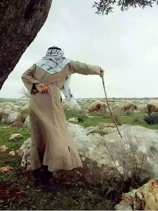 1480Hsa's tweet photo. زهك وكتي عليه الدمع ،،،،،،هداه
وعلى راسي جبل حسرات ،،،،،هداه
يعزرائيل مامش بيك ،،،،،،،هداه
تفك حزني وتجيب الموت اليه https://t.co/oVKyKubyx4