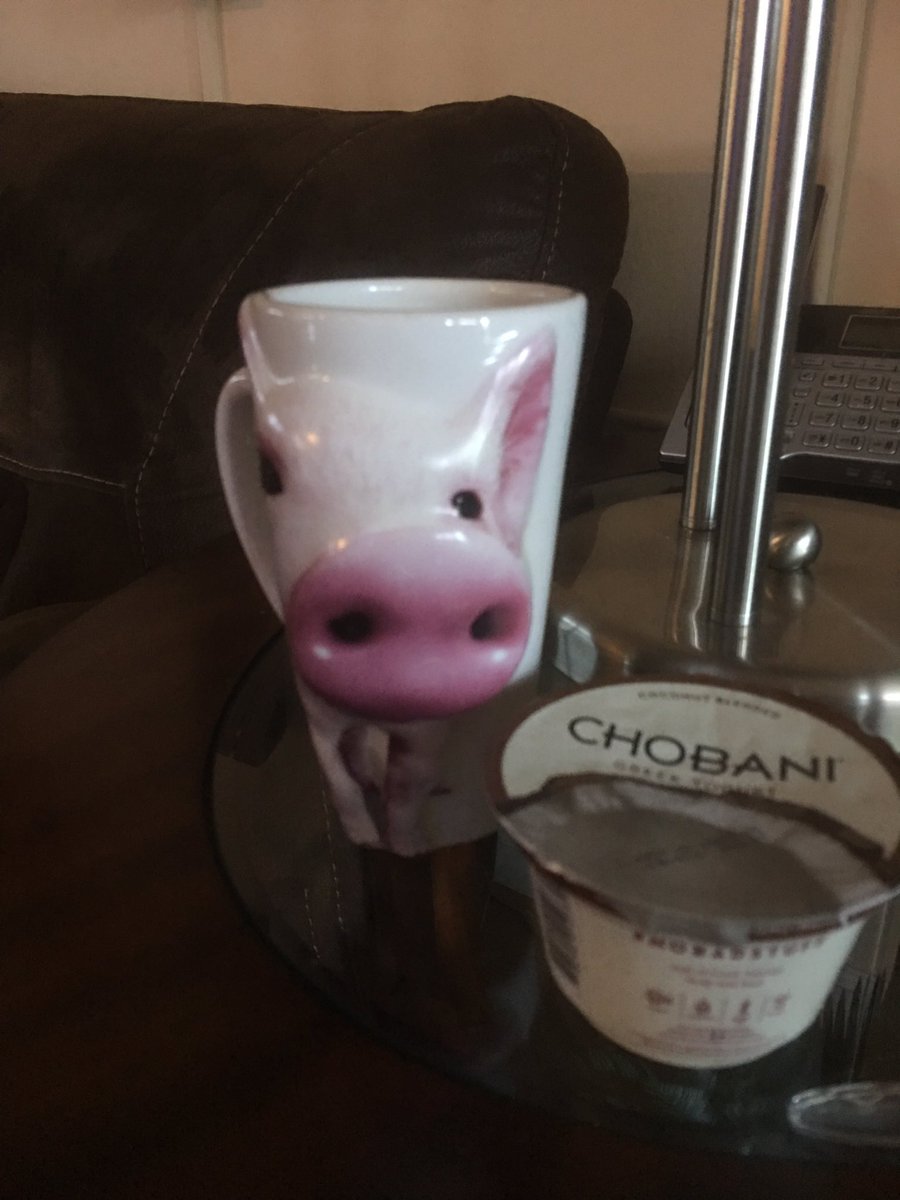 JohnIrizarry63's tweet photo. Up Early, having a cup of Joe &amp; my Chobani! Off Today 👍 https://t.co/EQrjWdlnHq
