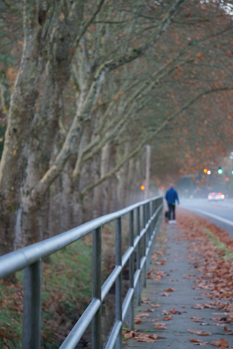 IssaquahMaven's tweet photo. Beautiful walk to the Issy Park &amp; Ride this morning. If this is Fall, I'm ALL in! https://t.co/xPOunMKP4C