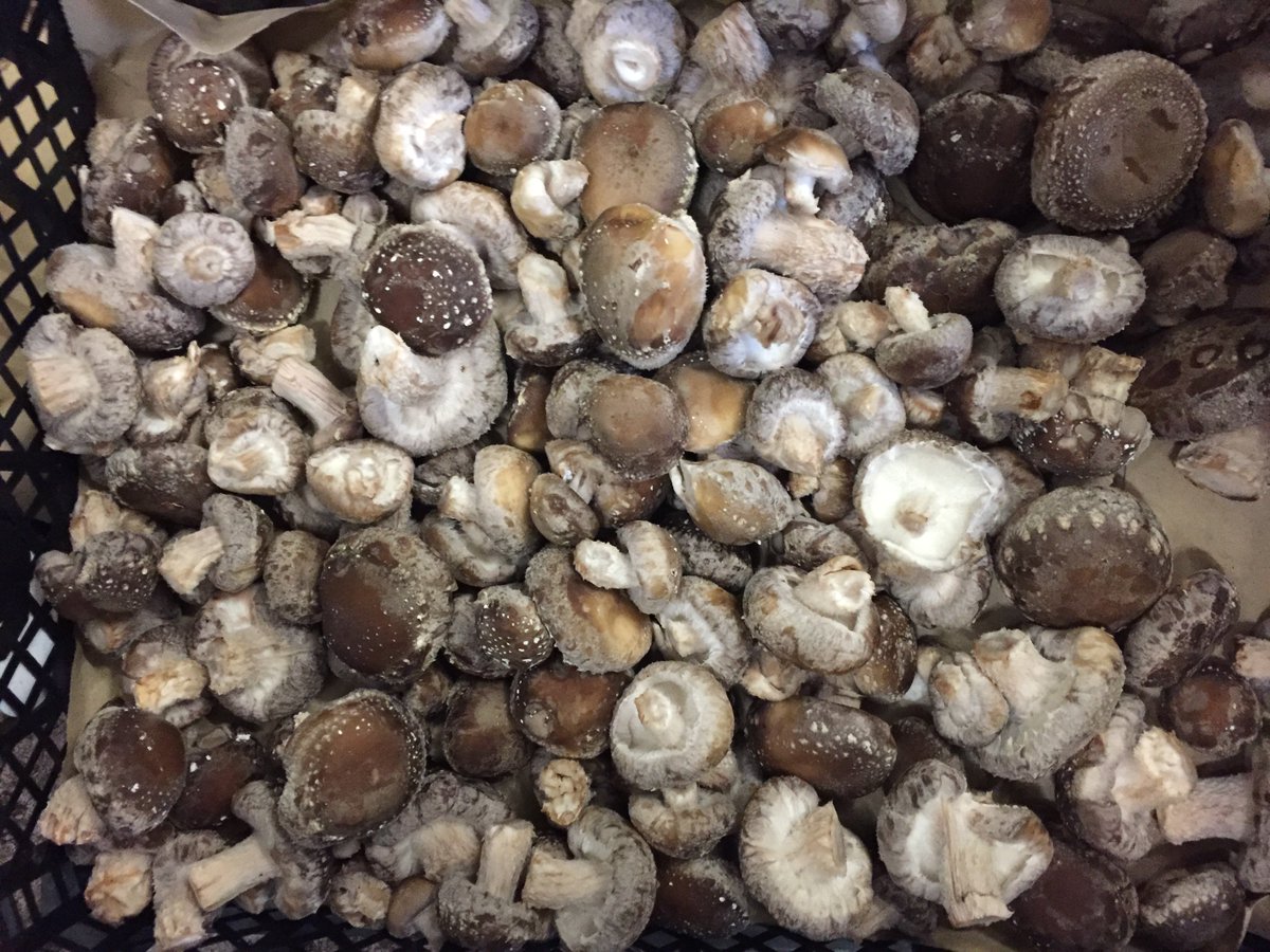 Cloudberry Digital tweet media