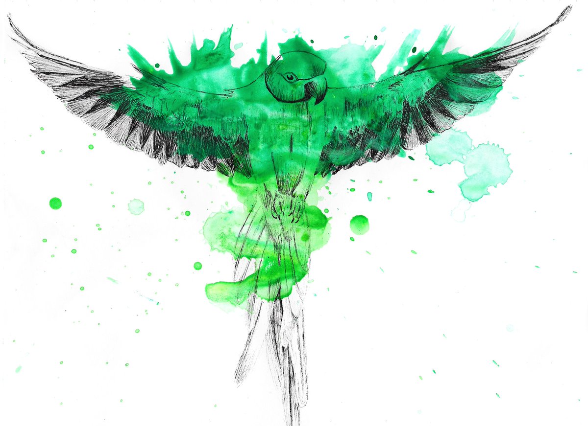 Parrot ink with splatter #parrot #inkwatercolour