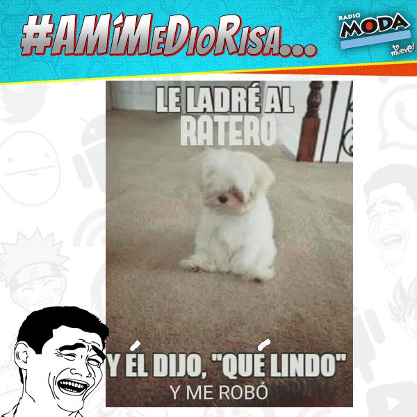 Tema del día #AMíMeDioRisa
¿Qué fue lo que te hizo "matar" de la risa?
Cuéntanos yaaa!!  <a href="/ModaFM/">Modafm</a>