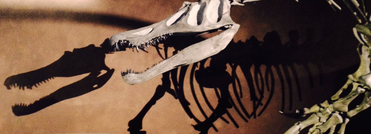 CULTUREVAL's tweet image. ... Et son propriétaire