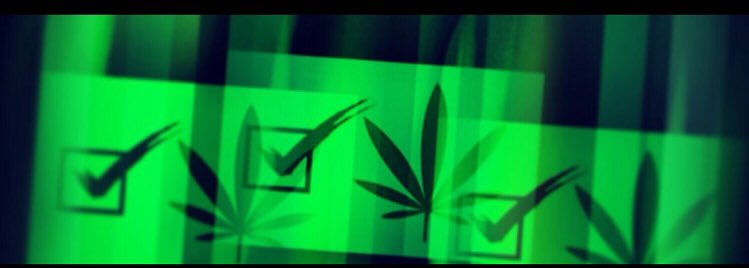 thc_dr's tweet photo. Voting?! #ElectionDay #weed #vote #USA #legalize #CannabisLegale #cannabis https://t.co/Ln9UXBWSOI