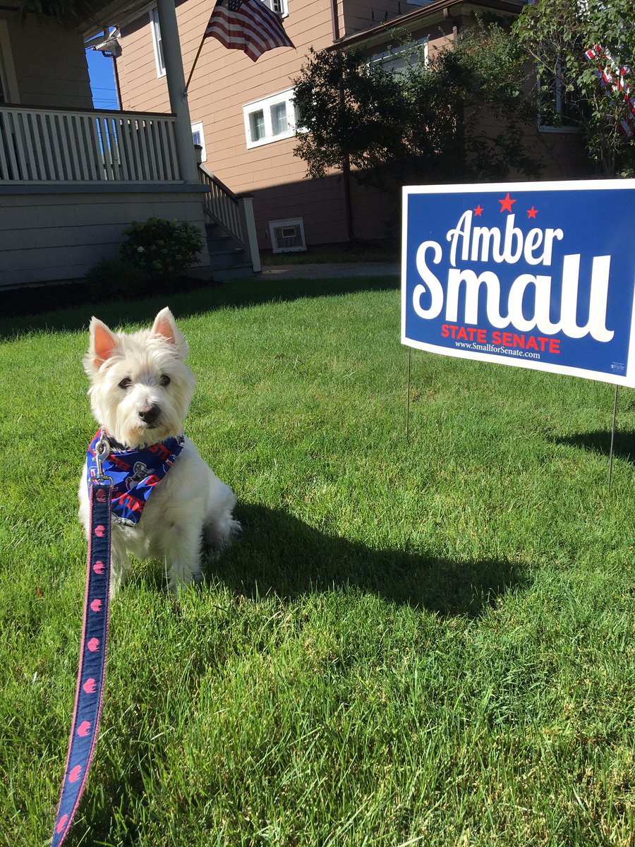 brennaburns's tweet photo. Vote for @smallforsenate! #thinkbigvotesmall https://t.co/bl6vyQfXyz