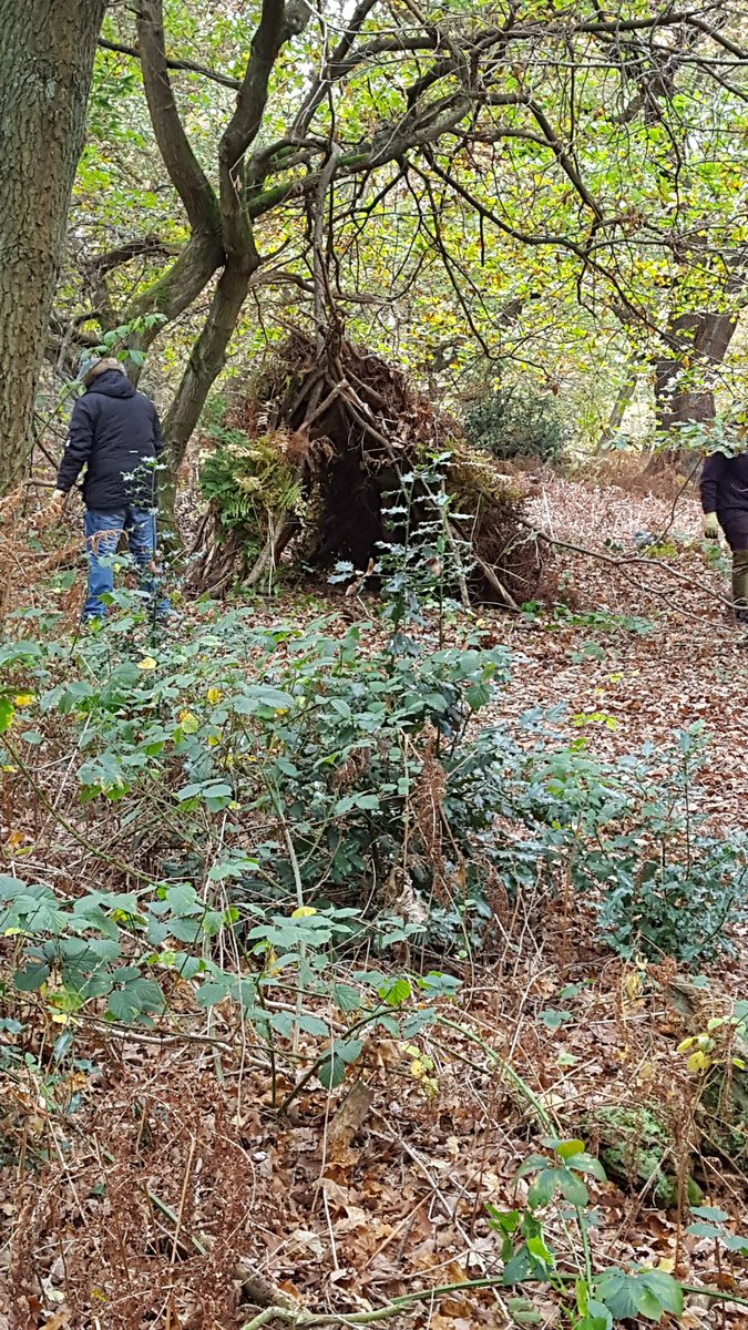 shanekimberley2's tweet photo. shelting making at sherwood forest. Excellent @Adrian85452482 @RtN_Scotland @alphaneff @PhoenixFutures1 @HopCora @JohnMuirLive https://t.co/2lEB2IvZrG