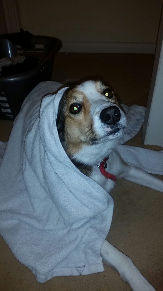 MattTo96's tweet image. Your future is rife with sorrow traveller...