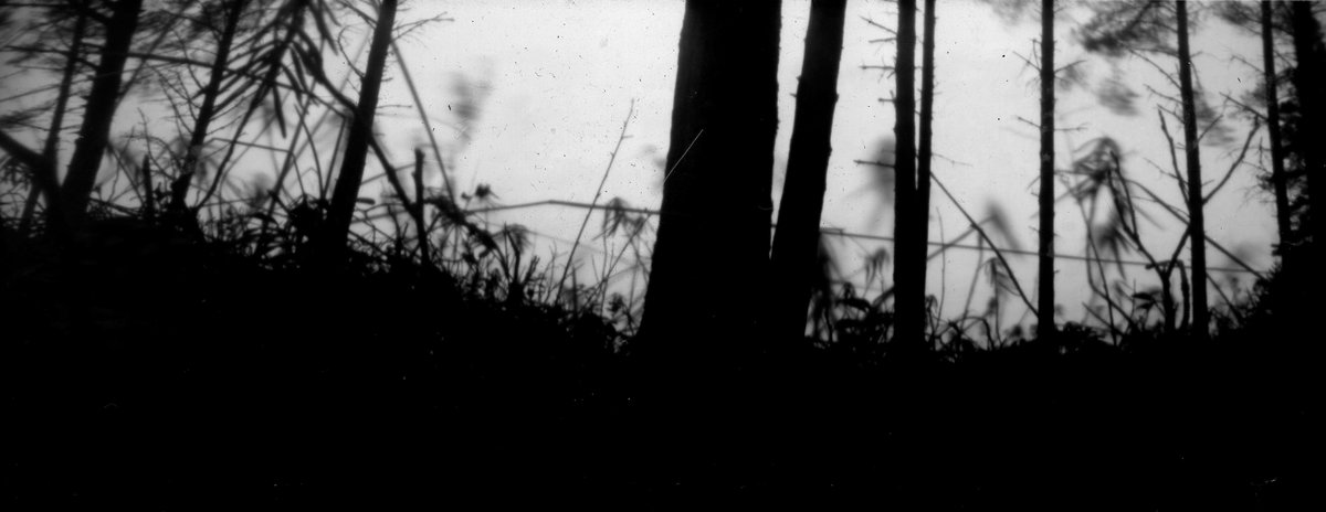 TimoRemes's tweet image. Valkiaisjärvi #pinhole #photography #alternateprocess
