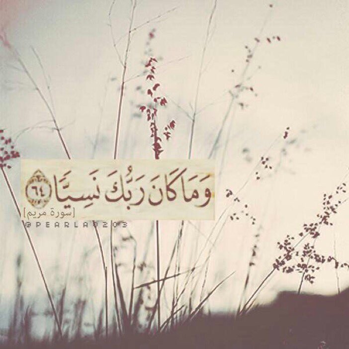 قال الشافعي: آية من القرآن هي سهم في قلب الظالم وبلسم على قلب المظلوم 
قيل وما هي؟ فقال قوله تعالى:وما كان ربك نسيا