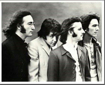 jmolinabaudou tweet media