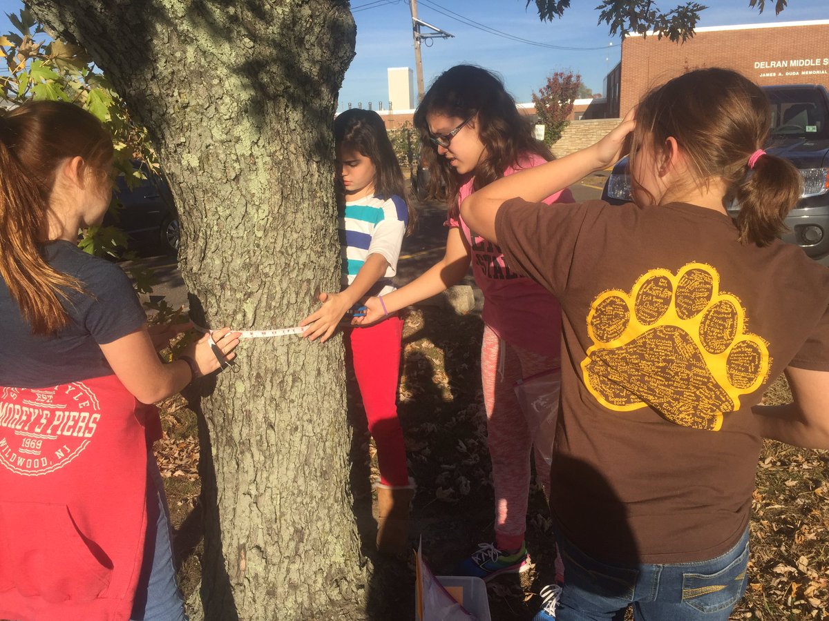 JenFrisella's tweet photo. DMS Green Team engaged in #STEAM activity @team_7a @DemicheleErica @WendyDeVicaris https://t.co/AUXUQRiNjR