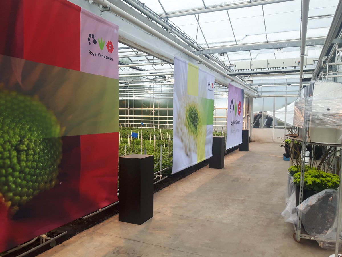 Royal Van Zanten tweet media