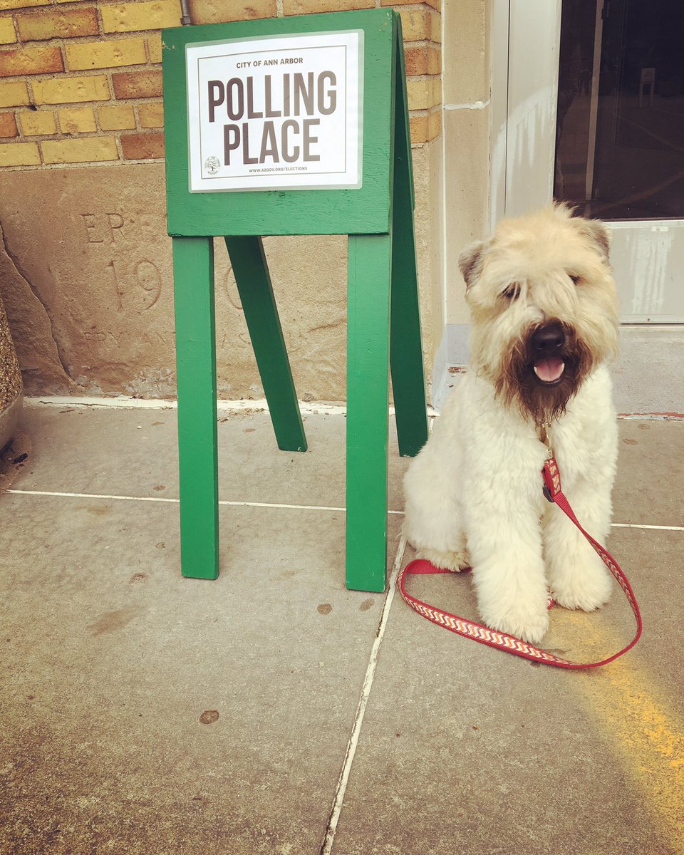 <a href="/darth/">darth™</a> <a href="/anamariecox/">Ana Marie Cox</a> Mister Jones is a big fan of civic duty. #Election2016 #ElectionDay #Vote2016