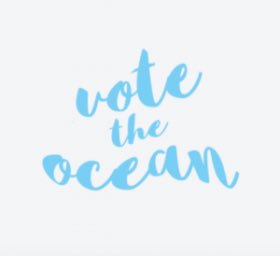 This #ElectionDay, make sure that you vote for ocean preservation and sustainability 🇺🇸