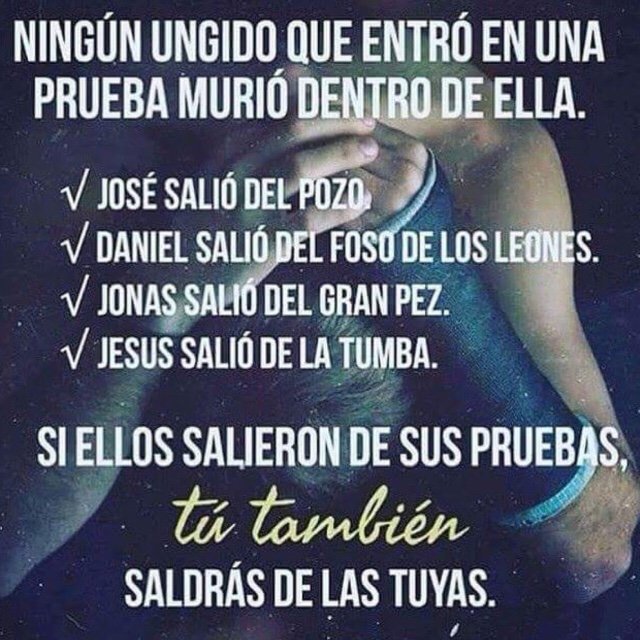 Alberto70740963's tweet photo. 😉💪 https://t.co/l0v5TGwaHP