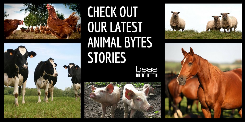 CambridgeCore's tweet photo. RT @BSAS_org: https://t.co/brzR0gsQhu  #animalbytes #animalscience #farming # agrisci #animalwelfare #animalbehav https://t.co/6gwhCdrN7p
