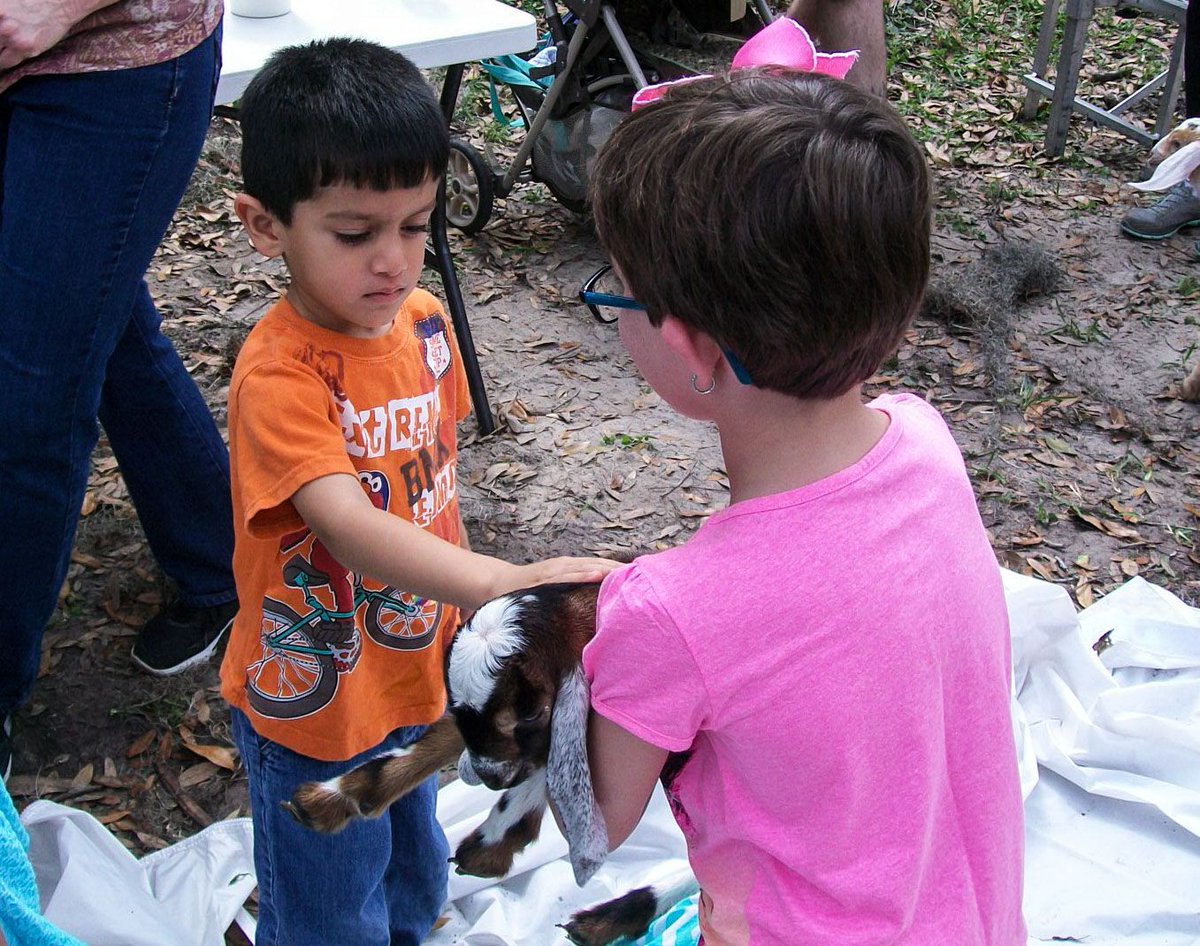 alachualibrary's tweet photo. BABY GOATS!! At the library! Catherine Whiteacre brings baby goats from her dairy farm to #HighSpringsLibrary for kids to touch & learn 3PM https://t.co/4vy5Mmi3v6