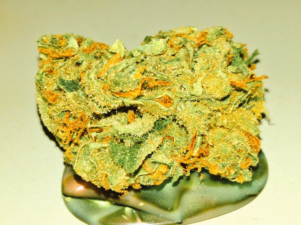 SillyGoose420's tweet photo. Dat white widow haze gives a goose #humanbumps #weedporn time to fly #high https://t.co/uEKGLlSLj0