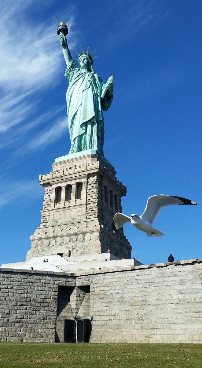jwgigliotti16's tweet photo. #PictureLiberty @StatueEllisNPS #ElectionDay https://t.co/rMqINTShlK
