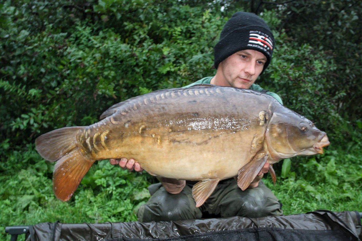 krisjenx123's tweet photo. 23lb mirror 1 of 3 on a 24hr at white springs 👌#Bbr #Camocarpy #Bartonsleads #Godmanpva https://t.co/JLV0tGckPQ